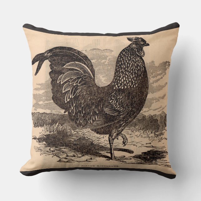 Coussin Impression de coq Gallus Sonneratii du 19e siècle (Recto)