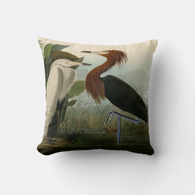 Coussin Impression de Héron Pourpré d'Audubon : Art d'Oise (Recto)