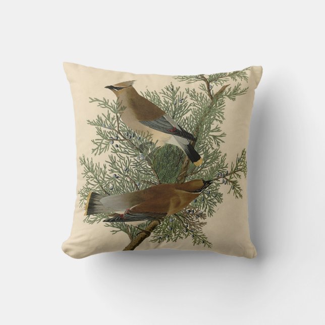 Coussin Impression d'oiseau de John James Audubon Jaseur b (Recto)