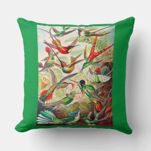 Coussin Imprimerie de colibris 1904
