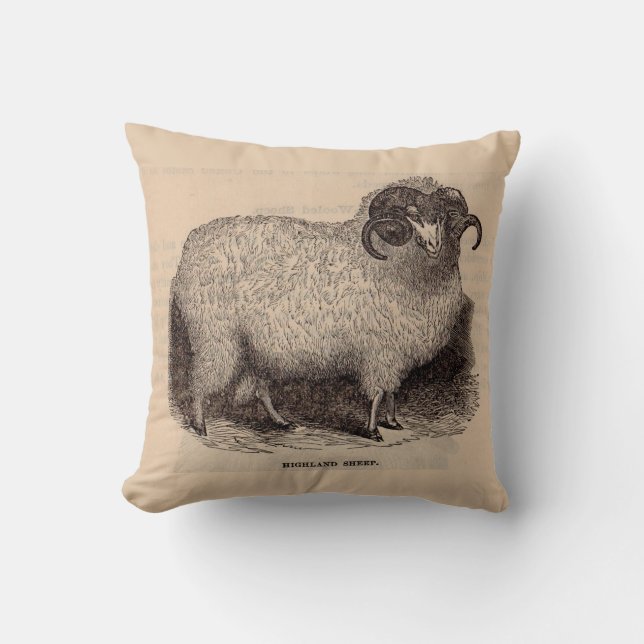 Coussin Imprimerie du 19e siècle moutons des Highlands (Recto)