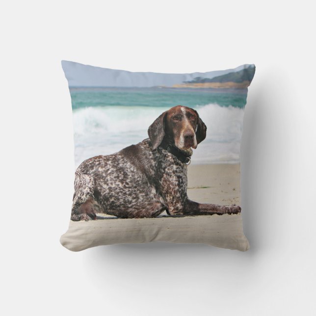 Coussin Indicateur aux cheveux courts allemand - Luc - (Recto)