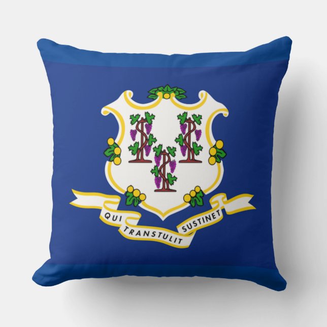 Coussin Indicateur d'état Connecticut (Recto)