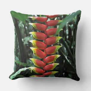 Coussin Indonesia - Bali, Munduk