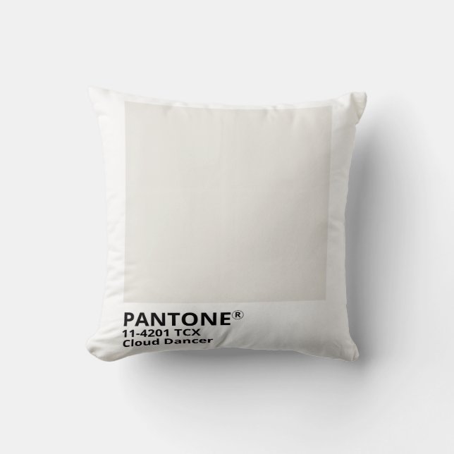 Coussin Inpiration pantone 2026 (Recto)