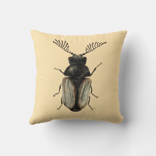 Coussin Insect Lover Art : Cool Beetle (Verso)