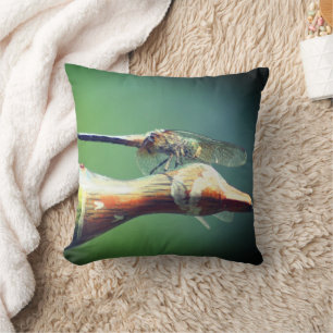 Coussin Insecte du pilote de libellules