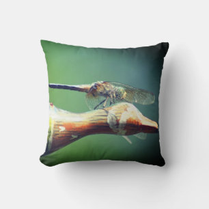 Coussin Insecte du pilote de libellules