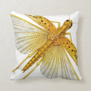 Coussin Insecte/insecte/cigale d'or/jaunes de cricket 20"