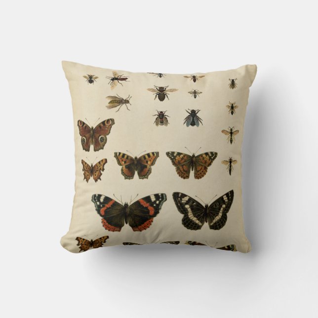 Coussin Insectes de jardin par Vision Studio (Recto)