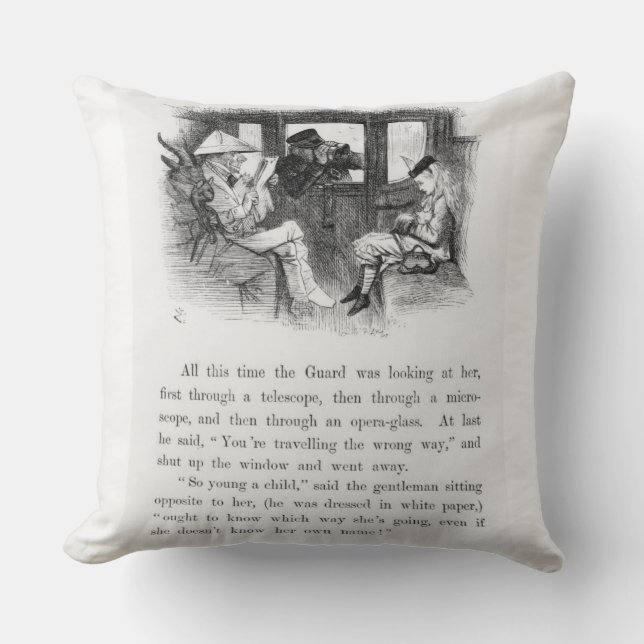 Coussin Insectes en verre, illustration de 'Alice Th (Recto)
