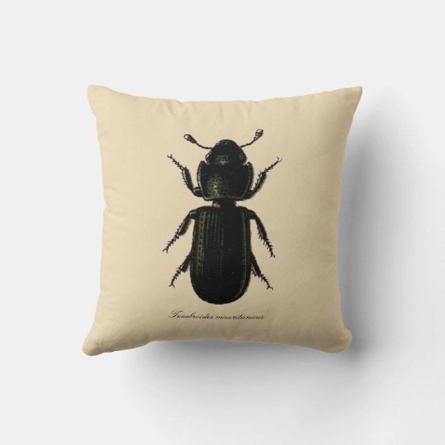 Coussin Insectes vintages L'Entomologie du dendroctone du  (Verso)