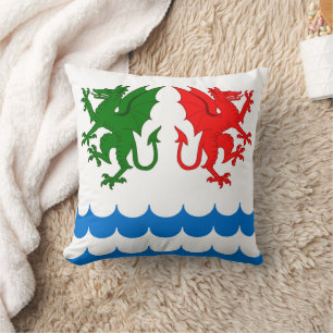 Coussin Insigne de populace du comté de Dragons Bay