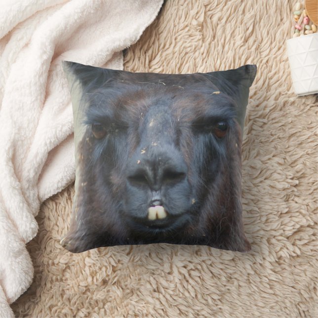 Coussin Intense Llama Noire Visage gros haut (Couverture)