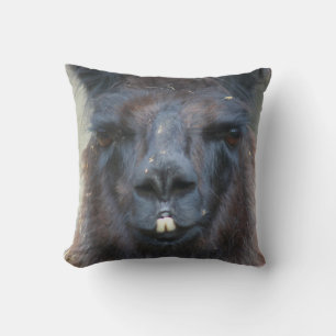 Coussin Intense Llama Noire Visage gros haut