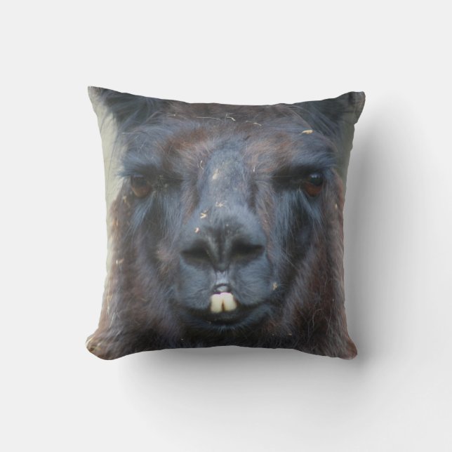 Coussin Intense Llama Noire Visage gros haut (Recto)