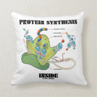 Intérieur de synthèse de protéine (ADN messagère