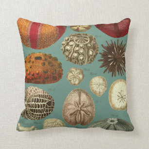Coussin Intestina et molluscums Linnaei