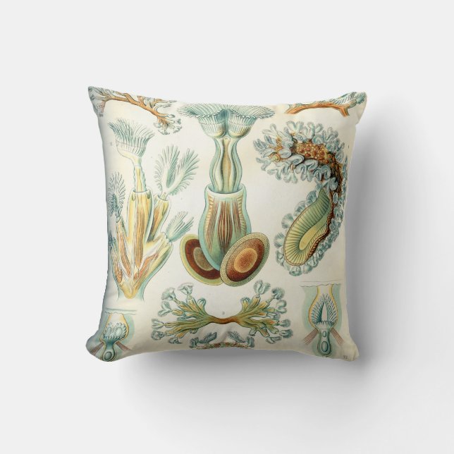 Coussin Invertébrés de bryozoaires d'Ernst Haeckel (Recto)