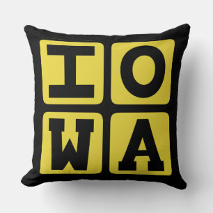 Coussin IOWA État Iowan Hawkeye Des Moines Cedar Rapids