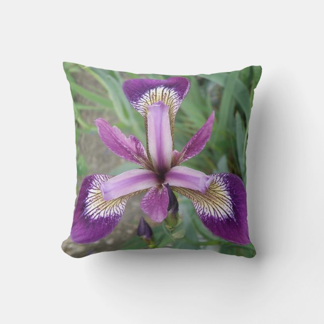 Coussin Iris violet (Recto)