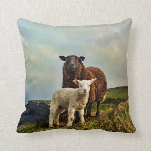 Coussin Irlande, moutons,