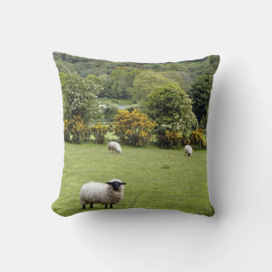 Coussin Irlande occidentale, presqu'île de Dingle