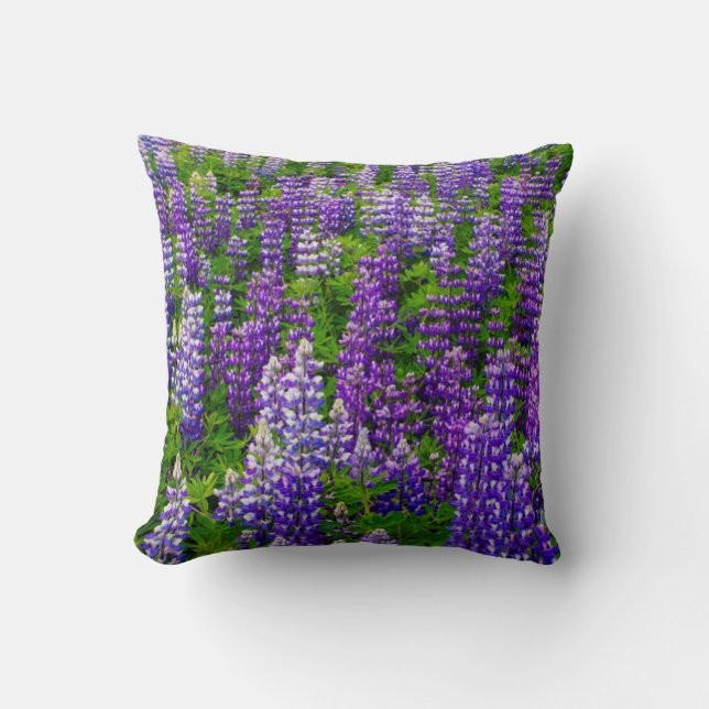 Coussin Islande. Vik i Myrdal. Champ de Lupines (Recto)