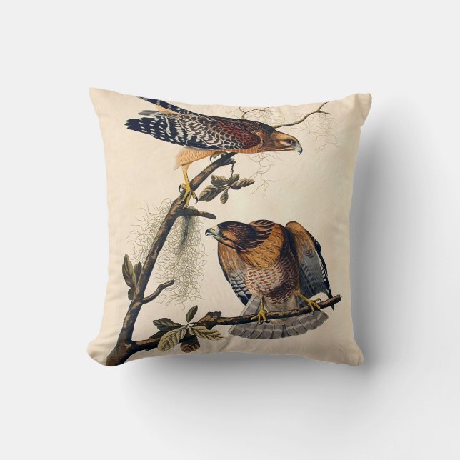 Coussin J.J. Audubon (faucon épaulé rouge) (1829) (Recto)
