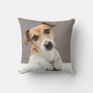 Coussin Jack Russell Puppy Sweet Adorable Baby Jack