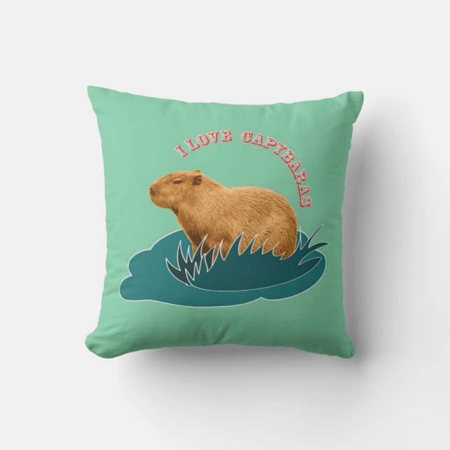 Coussin J'adore les capybaras Amoureux de capybara mignon (Recto)