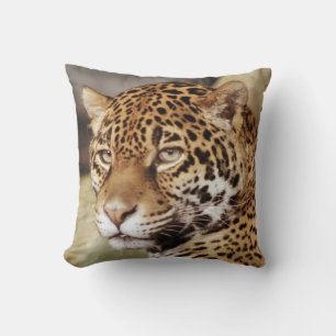 Coussin Jaguar