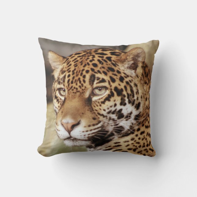 Coussin Jaguar (Recto)