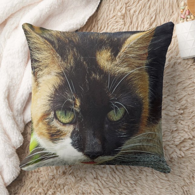 COUSSIN "J'AI MES YEUX VERTS SUR VOUS !"/CAT HEAD-SHOT (Couverture)