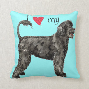 Coussin J'aime mon PWD