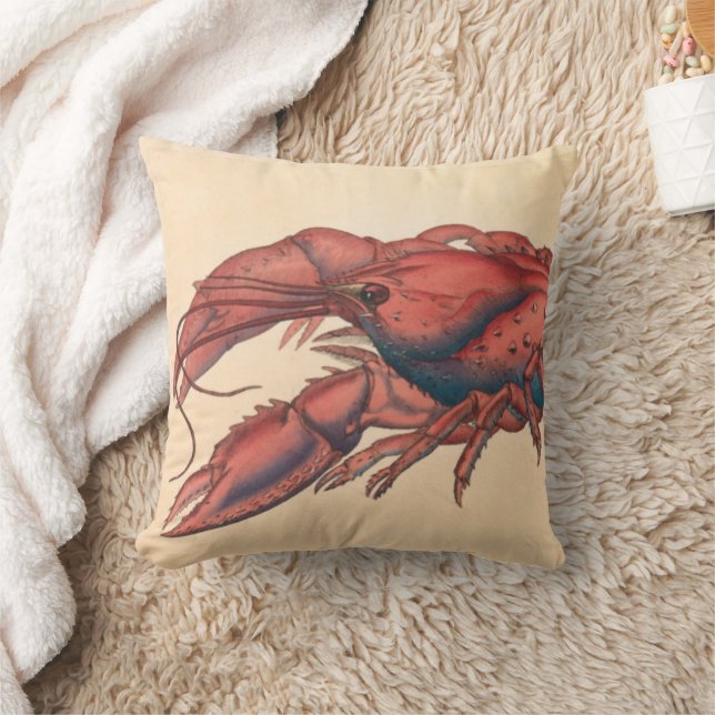 Coussin James Sowerby Homard serbé (Couverture)