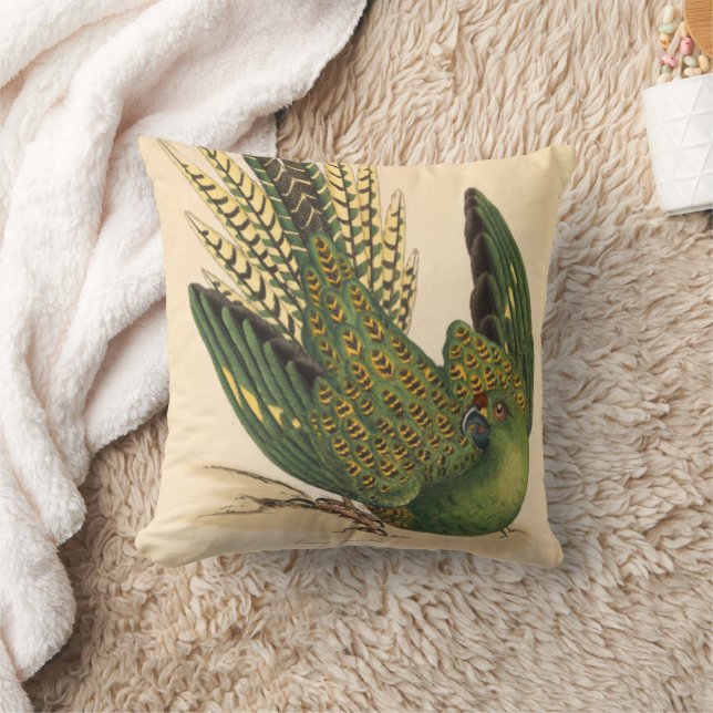 Coussin James Sowerby Parrot terrestre, Psittacus terrestr (Couverture)