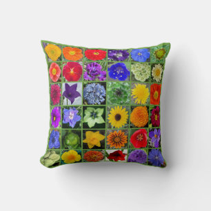 Coussin Jardin arc-en-ciel de la capteuse de neige