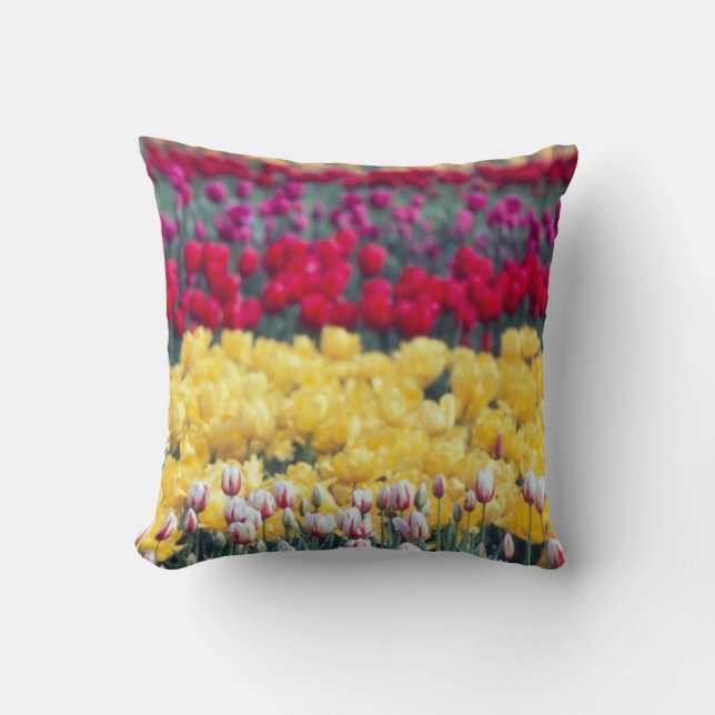 Coussin Jardin de tulipes dans la vallée de Skagit, (Recto)