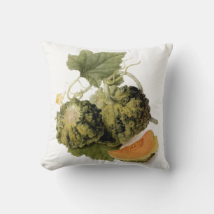 Coussin Jardin vintage Gourde & Vin