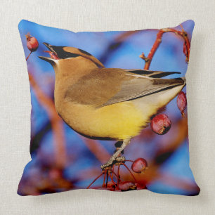 Coussin Jaseur de cèdre