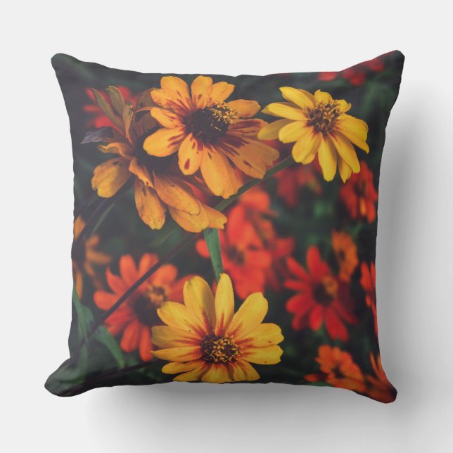 Coussin Jaune Orange Daisy Floral Botanique (Recto)