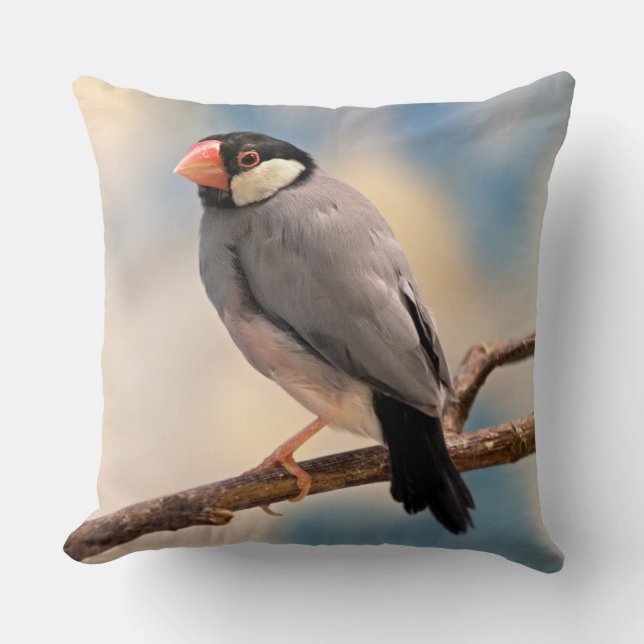 Coussin Java Finch (Recto)