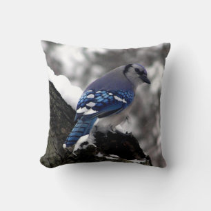 Coussin Jay bleu hiver