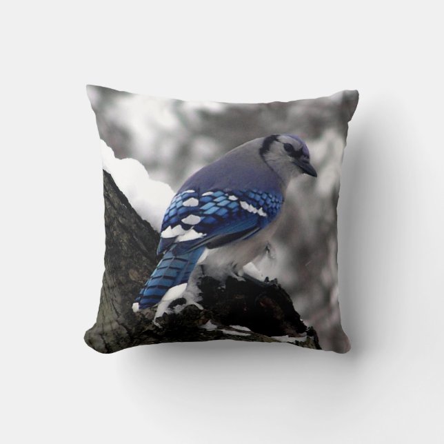 Coussin Jay bleu hiver (Recto)