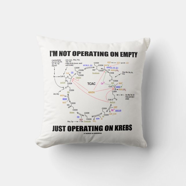 Coussin Je n'opère pas sur le vide, mais sur les Krebs (Recto)
