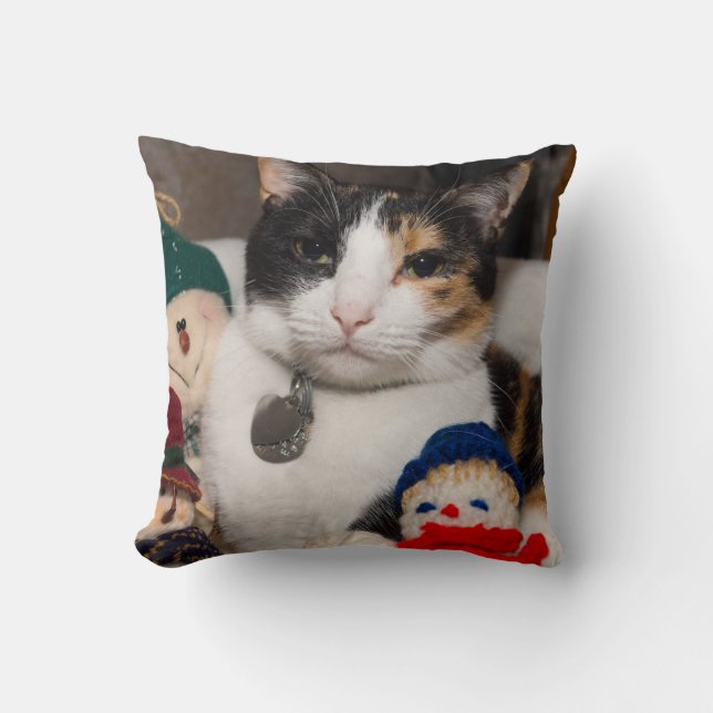 Coussin J'Espère Un Calico (Recto)