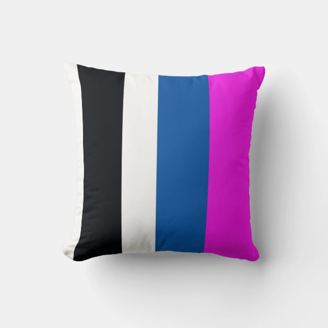 Coussin Jet Black, Pure White, Teal Blue, Hot Pink Stripes (Recto)