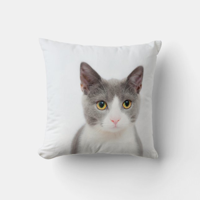 Coussin Jet gris et blanc de chat de smoking (Recto)
