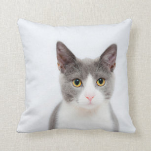 Coussin Jet gris et blanc de chat de smoking
